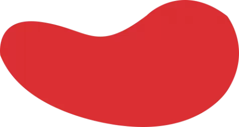 雷竞技(RAYESPORTS)·官方网站