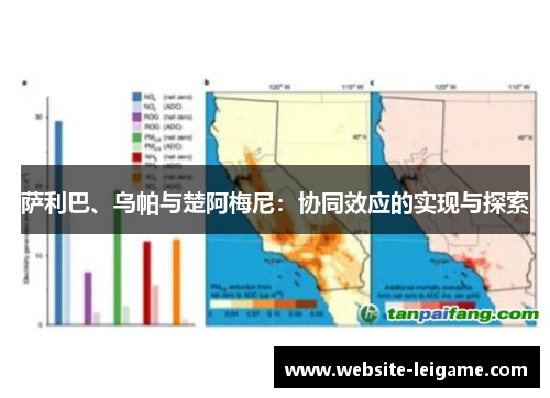 萨利巴、乌帕与楚阿梅尼:协同效应的实现与探索 萨利巴、乌帕与楚阿梅尼:协同效应的实现与探索